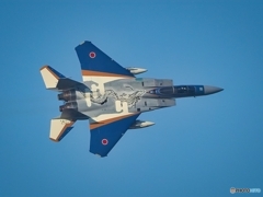 F15スペシャルマーキング