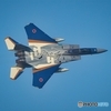F15スペシャルマーキング