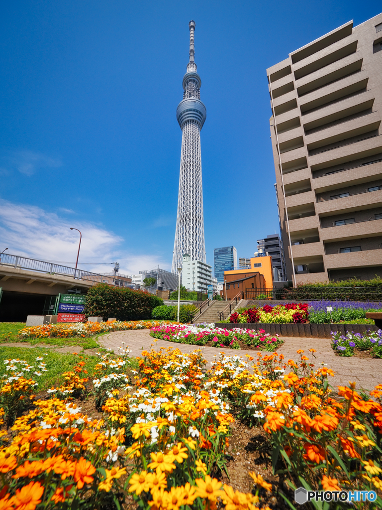花の塔