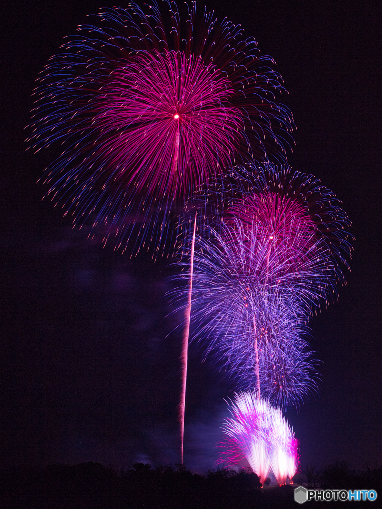 夜空の紫