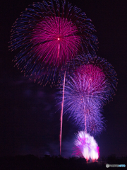 夜空の紫