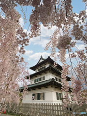 桜の城