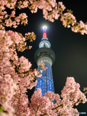 桜の塔