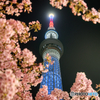 桜の塔