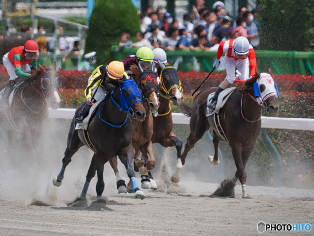 スポーツ写真集