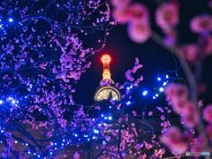 花の塔