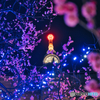 花の塔