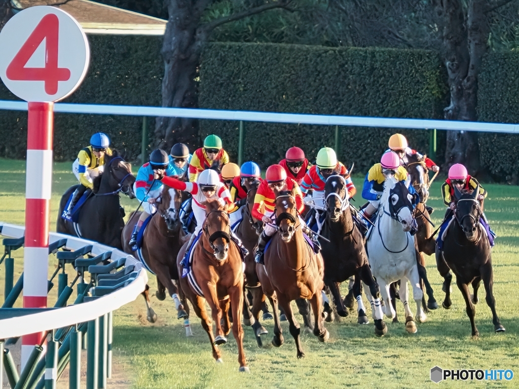有馬記念最終コーナー