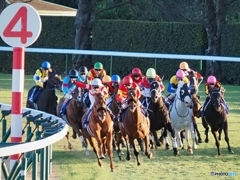 有馬記念最終コーナー