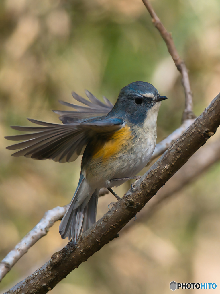 1年ぶりの再会の舞