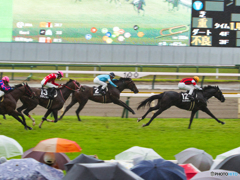 雨のレース