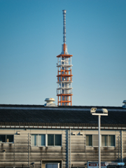 タワーライクなツリー