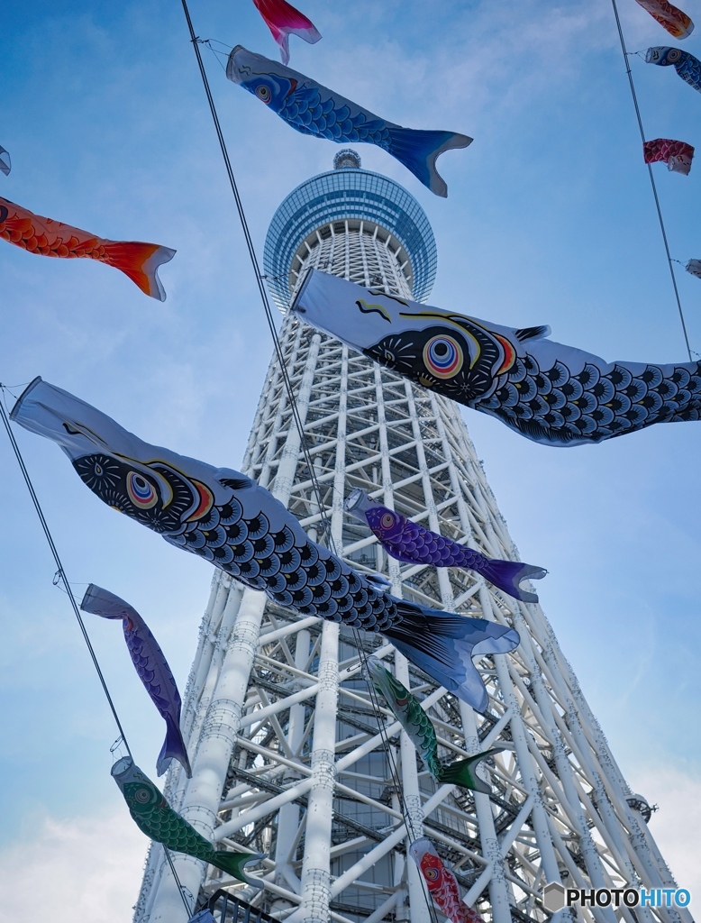 大空泳ぐ