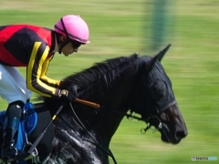 勝負師の横顔