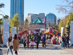 穏やかな休日