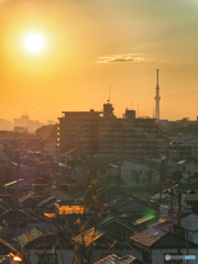 夕焼けに染まる