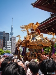 三社祭とスカイツリー