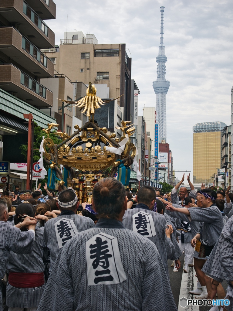 三社の神輿とスカイツリー