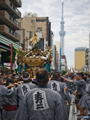 三社の神輿とスカイツリー