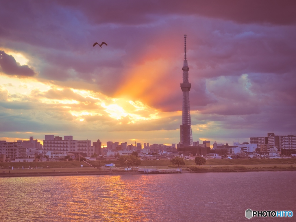 夕焼けライティング