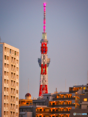 タワーのようなツリー