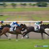 直線勝負