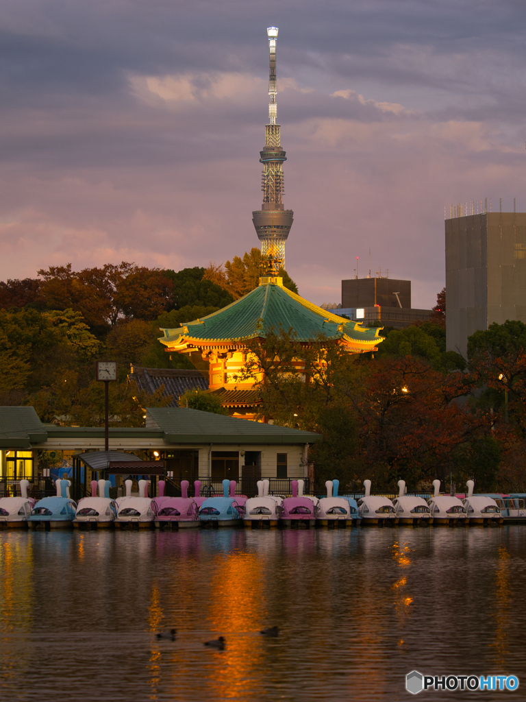 おうちに帰ろう