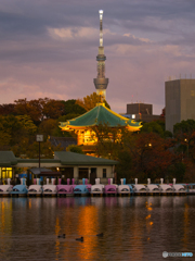 おうちに帰ろう