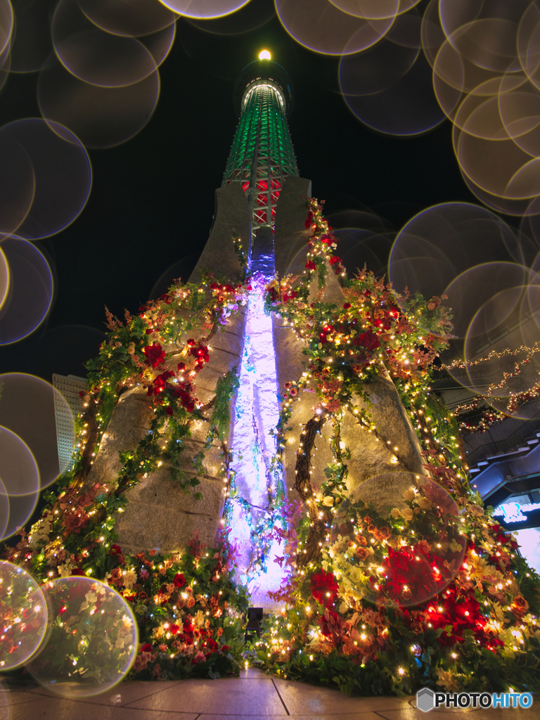 クリスマススカイツリー