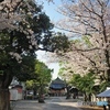 氷川神社の春
