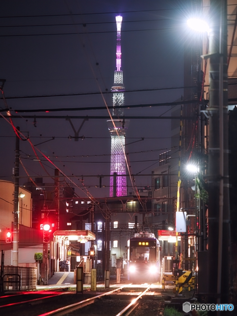 都電も塔も桜色