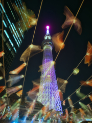 夜空を彩る