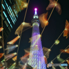 夜空を彩る