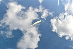 空中遊泳