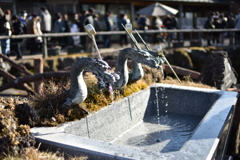 忍野八海の龍