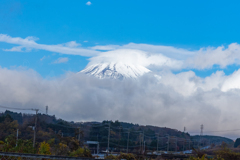 チラリズム