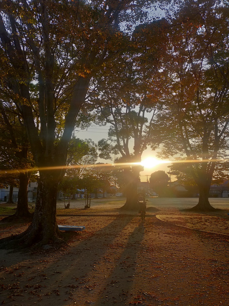 秋の公園