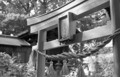 お稲荷さま