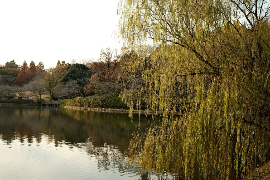 三ツ池公園01