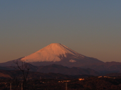 宜しくお願いいたします。