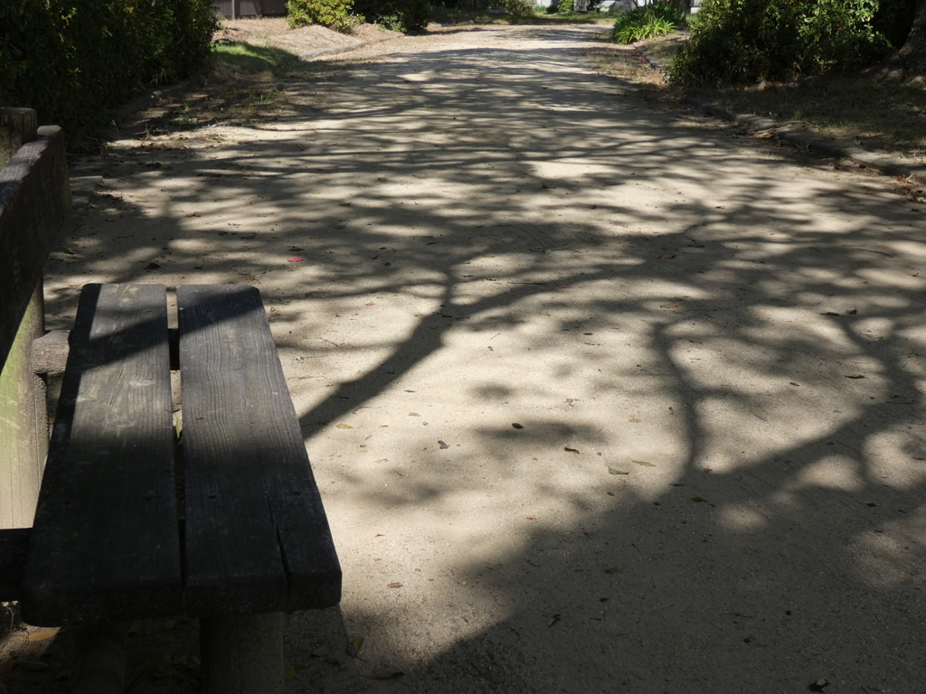 公園の昼下がり