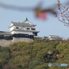 松山城