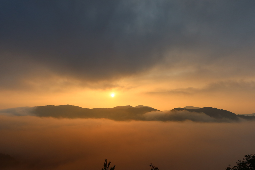 雲海