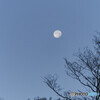 朝空に浮かぶ月