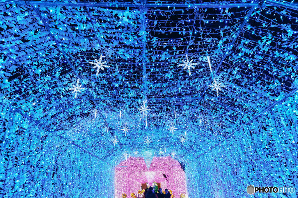 キラキラの散歩