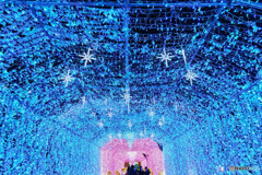 キラキラの散歩