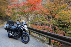紅葉を求めて