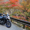 紅葉を求めて