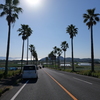 南国の青空