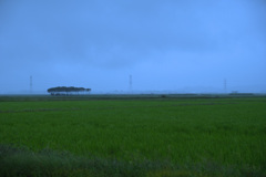 福島潟風景
